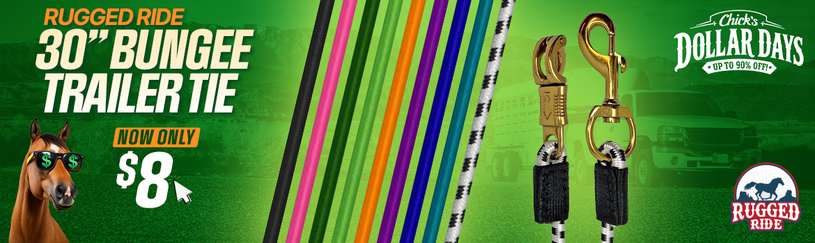Bungee Trailer Ties $8 - Dollar Days Deal$