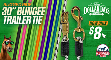 Bungee Trailer Ties $8 - Dollar Days Deal$