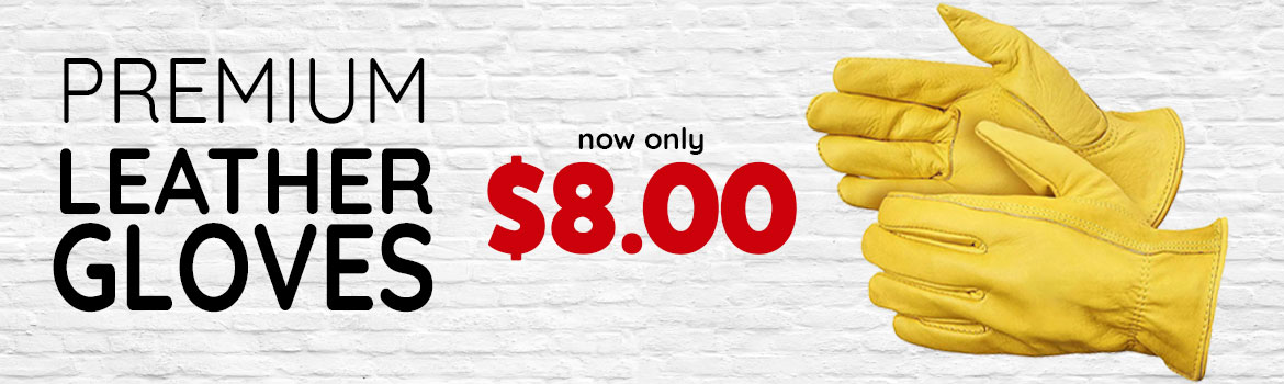 Premium Leather Trainers Gloves - $8