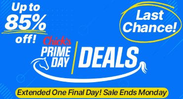 Prime Day Deals - Last Chance for up to 85% Off