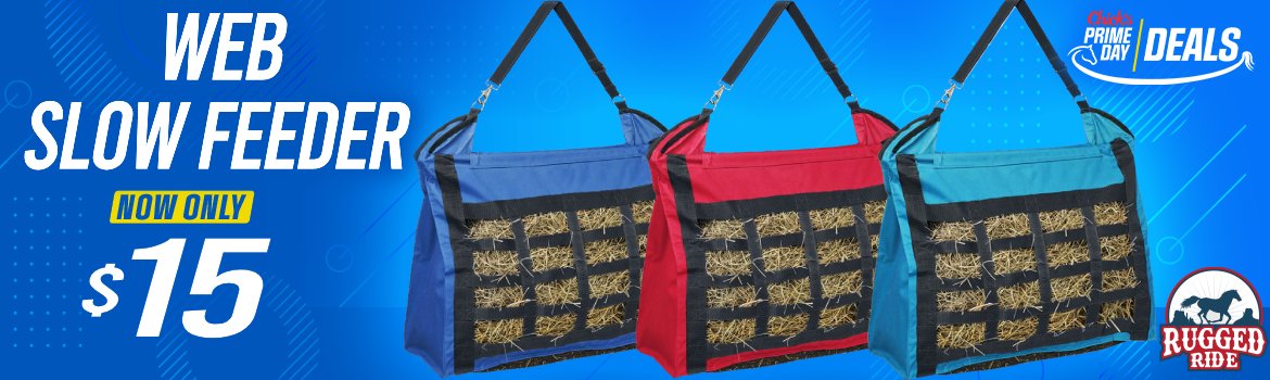 Web Slow Feeders $15 - Prime Day Deals!