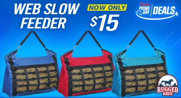Web Slow Feeders $15 - Prime Day Deals!