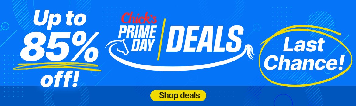 Prime Day Deals - Last Chance for up to 85% Off