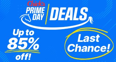 Prime Day Deals - Last Chance for up to 85% Off