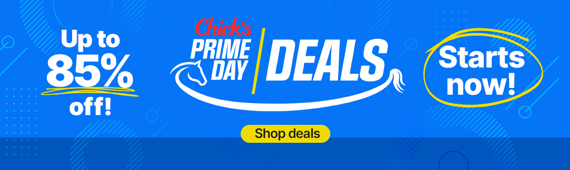 Prime Day Deals Start Right Now!