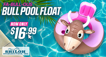 Bull Rider Pool Float $16.99