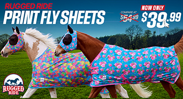 Prices Reduced Print Fly Sheets now $39.99