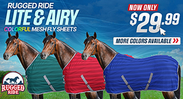 Colorful Light and Airy Fly Sheets $29.99