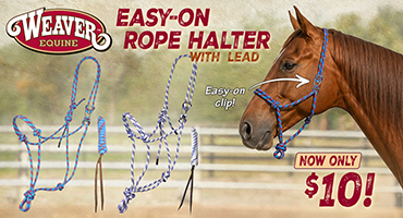 Weaver Easy-On Rope Halter with Lead - only $10.00