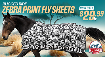Zebra Print Fly Sheets only $29.99