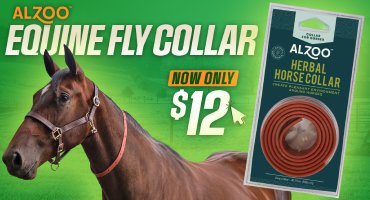 Alzoo Equine Fly Collar - $12 - While Supplies Last!