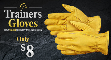 Trainers Gloves - as low as $8.00