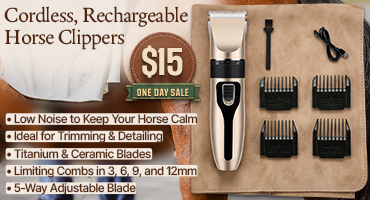Rechargeable Clippers $15 - One Day Sale