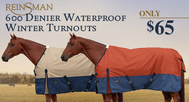 Reinsman Turnout Blankets - only $65