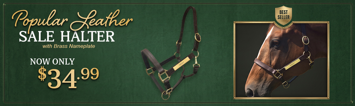Leather Halter with Engraved Brass Nameplate $34.99