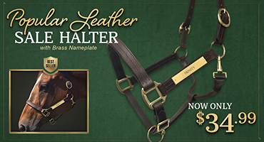 Leather Halter with Engraved Brass Nameplate $34.99