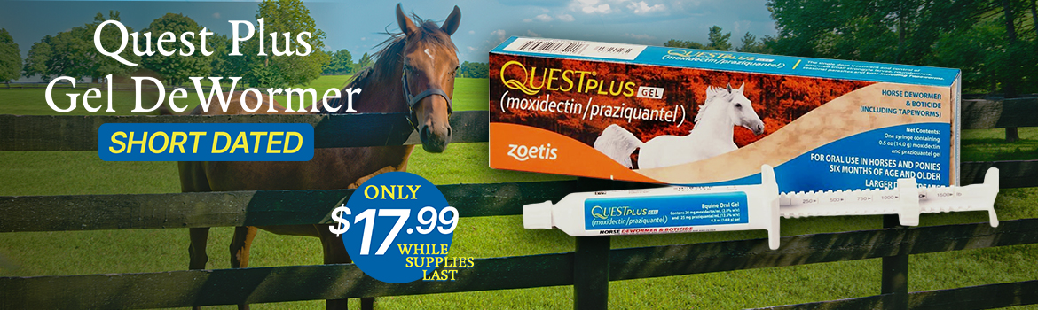 Short Dated Quest Plus - only $17.99