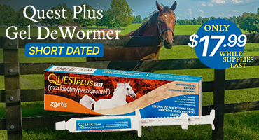 Short Dated Quest Plus - only $17.99