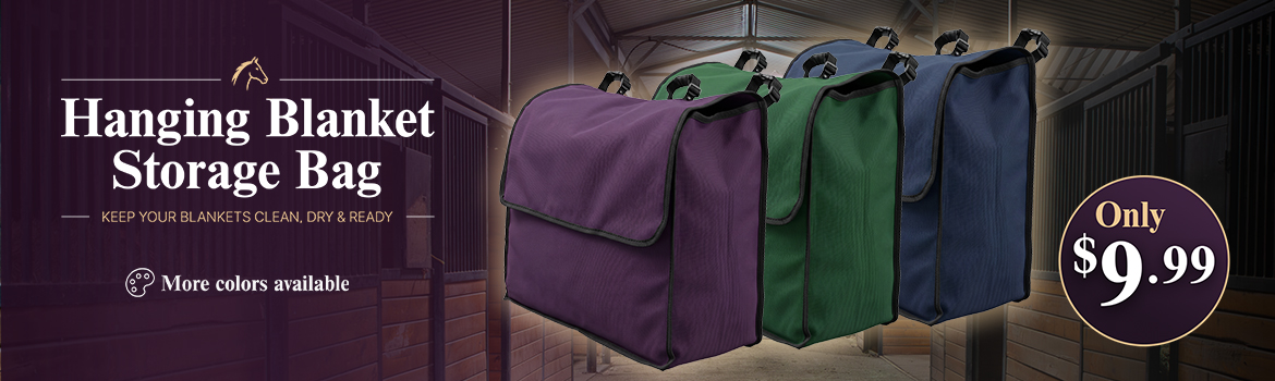 Blanket Storage Bags $9.99