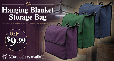 Blanket Storage Bags $9.99