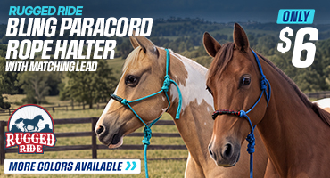 Rope Halter and Lead now $6.00!