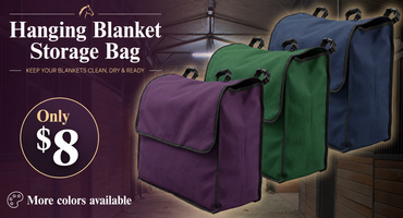 Hanging Blanket Storage Bags $8.00