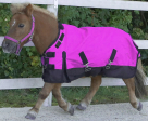 Rugged Ride Foal/Mini 1200 Denier Adjustable Neck Waterproof Turnout Sheet