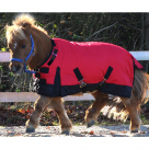 Rugged Ride Foal/Mini 1200 Denier Adjustable Neck Waterproof Turnout Blanket - 300 Gram Fill