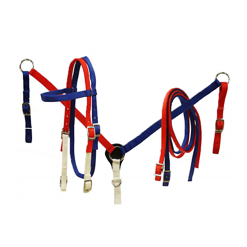 Showman PONY Size RED WHITE BLUE Embroidered Leather Bridle & Breast Collar Set 
