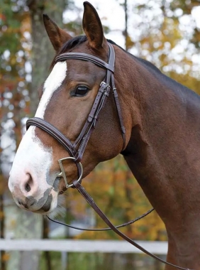 Shires Avignon Ocala Bridle