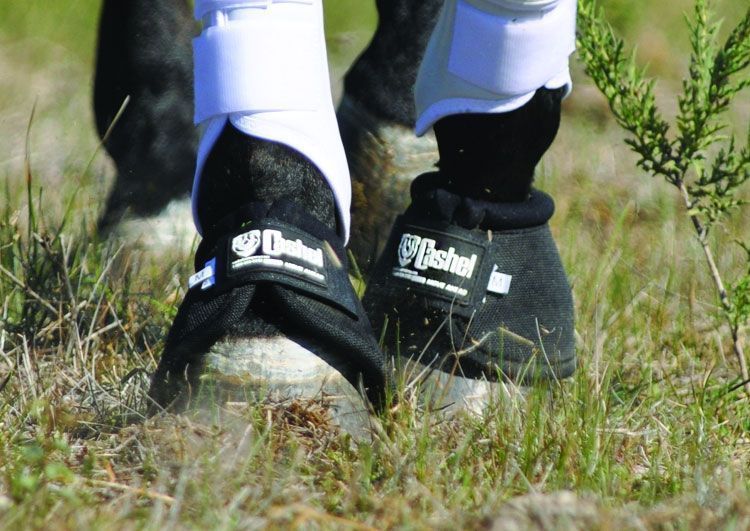 Cashel Equine Horse Heavy Duty Durable Rubber Black Bell Boots