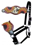 Showman Black Nylon Bronc Nose Halter With Painted Sunflowers And Cowhide Inlay