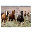 Wildstride Tempered Glass Cutting Board