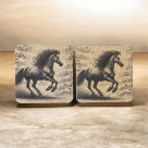 Horse and Music Cork Drink Coasters - Set of 2