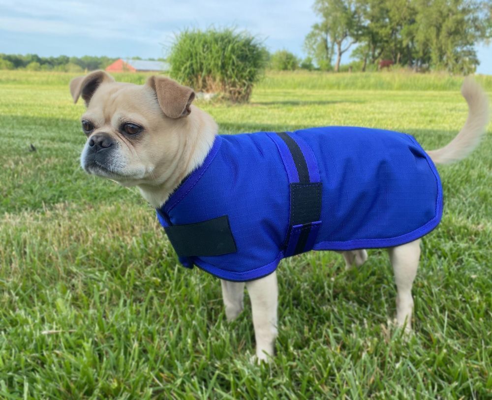 lightweight dog blanket