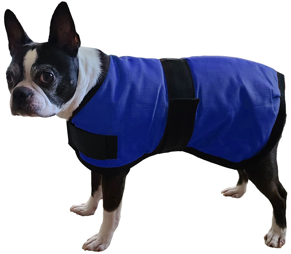 lightweight dog blanket