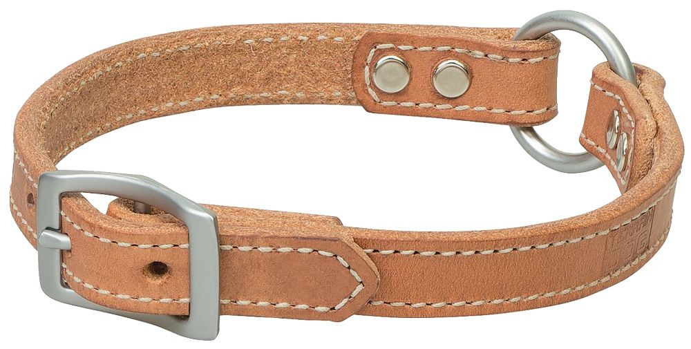 terrain dog collar