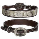 Showman Couture Luxe Viper Leather Dog Collar