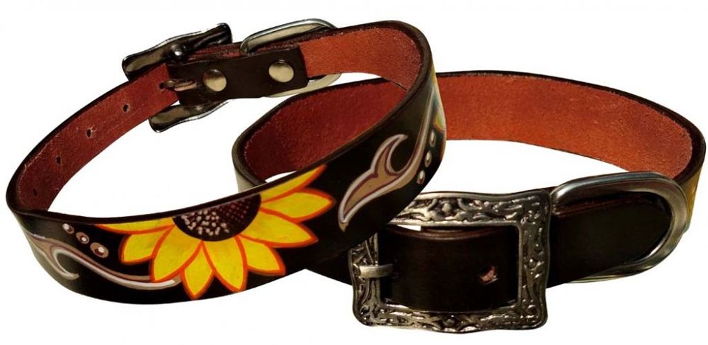 sunflower dog collar