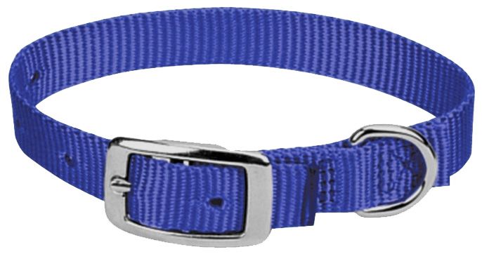 terrain dog collar