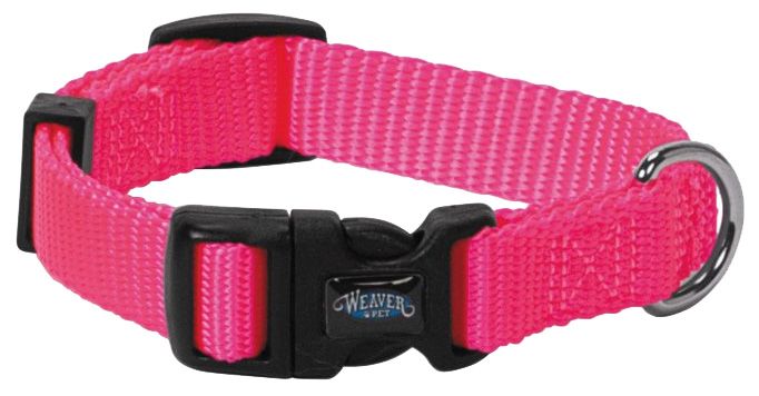 terrain dog collar