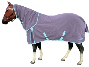 Derby House Pro Combo Neck Cotton Stable Sheet: Chicks Discount Saddlery