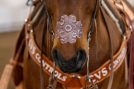 EquiBreathe Equine Nasal Patch - Tooled Leather