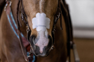 EquiBreathe Equine Nasal Patch - White