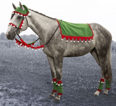 horse elf costume