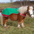 Holiday Mini Elf Quarter Sheet