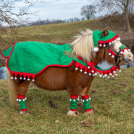 Holiday Mini Elf Sheet - 5 Piece Set