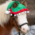 Holiday Mini Horse Elf Hat