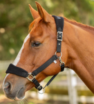 Equinavia Saga Fleece Padded Breakaway Halter