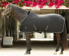 Equinavia Torr Quick Dry Cooler